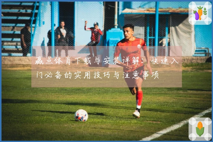 赢点体育下载与安装详解：快速入门必备的实用技巧与注意事项