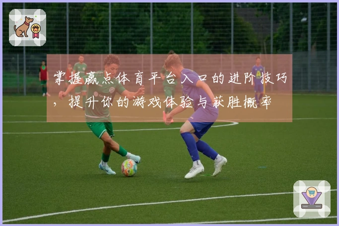 掌握赢点体育平台入口的进阶技巧，提升你的游戏体验与获胜概率